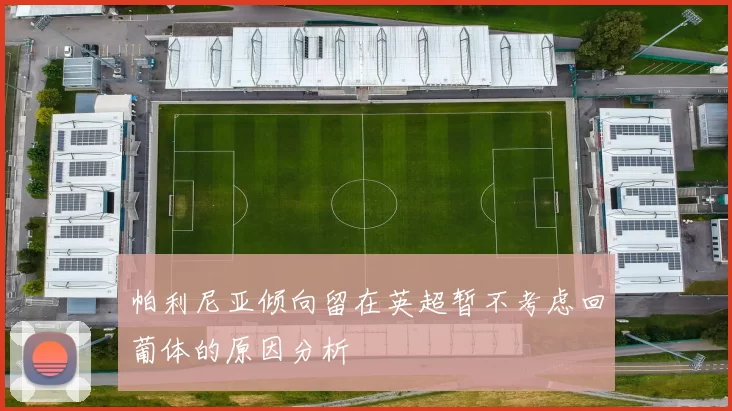 帕利尼亚倾向留在英超暂不考虑回葡体的原因分析